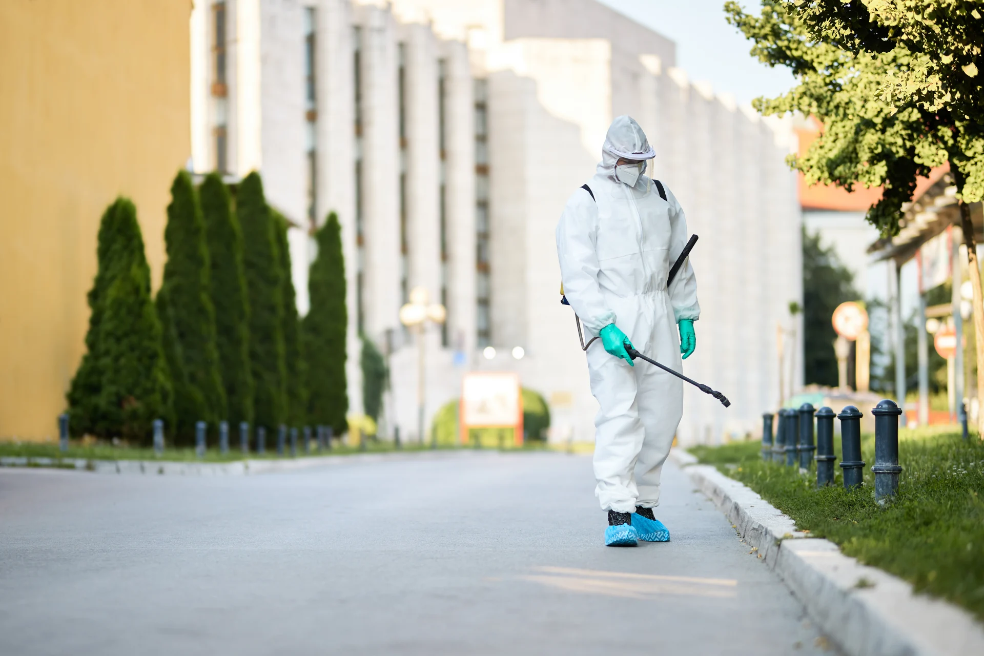Technician applying eco-friendly pest control treatment inside a modern UAE home