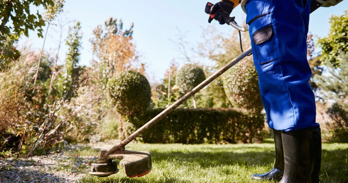 Maintain pristine outdoor spaces with expert landscaping and grounds maintenance teams in the UAE for beautiful, well-kept, and sustainable environments.